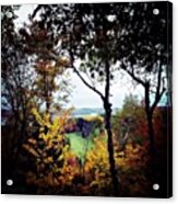 Tree Tops Acrylic Print