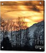 Trees With Orange Sky Acrylic Print