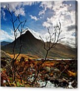 Tryfan And Tree Acrylic Print