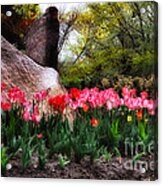 Tulip Garden Acrylic Print