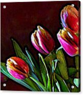 Tulip Traced Incandescence Acrylic Print