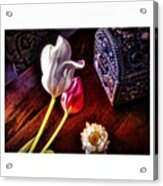 Tulips With Jeweled Chest Acrylic Print