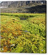 Tundra Bog Nurtured By Seabird Cliff Acrylic Print
