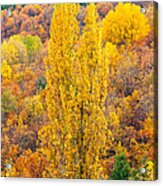 Tuscany Landscape Acrylic Print