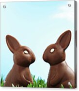 Two Chocolate Easter Bunnies Facing Each Other In Grass, Side View Acrylic Print