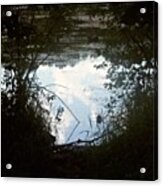Upside Down Sky In Pond, Nature, Surreal Acrylic Print
