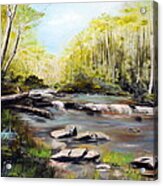 Upstate South Carolina Trout Stream Acrylic Print