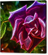 Visions From A Rose Acrylic Print