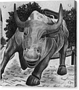 Wall Street Bull Acrylic Print