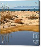 Water By The Ocean Acrylic Print