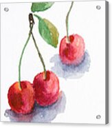 Watercolor Cherry Acrylic Print