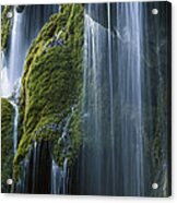 Waterfall And Moss Bavaria Acrylic Print
