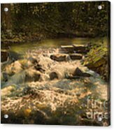 Waterfall Acrylic Print