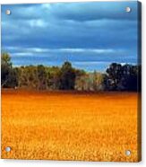 Waves Of Grain Acrylic Print