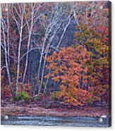 West River Trees Acrylic Print