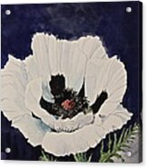 White Poppy-posthumously Presented Paintings Of Sachi Spohn Acrylic Print