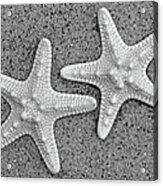 White Starfish In Black And White Acrylic Print