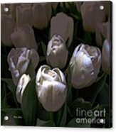 White Tulips Acrylic Print