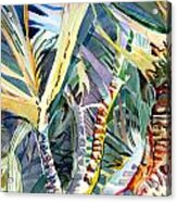 Wild Palm Acrylic Print