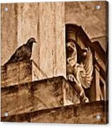 Athens, Greece - Winged Encounter Acrylic Print