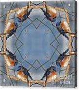 Winter Bluebird Kaleidoscope Acrylic Print