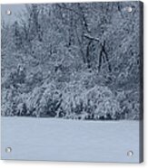 Winter Delight Acrylic Print