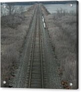 Winter Tracks Acrylic Print