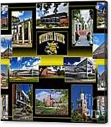 Wsu Collage Acrylic Print