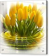 Yellow Tulips Acrylic Print