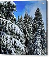 Yosemite Snow Acrylic Print