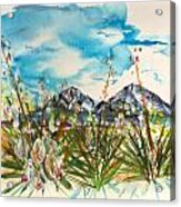 Yucca And Huajatolla Peaks Acrylic Print