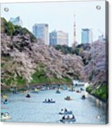 #ありがちな写真 #桜 #sakura Acrylic Print