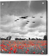 Battle Of Britain Anniversary - Selective Acrylic Print