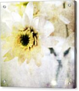 White Flower Acrylic Print