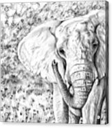 01 Of 30 Elephant Acrylic Print