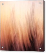 Abstract Grunge Background #1 Acrylic Print