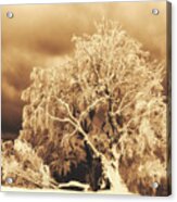 After The Ice Storm #1 Acrylic Print