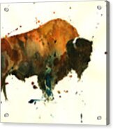 American Buffalo Watercolor #1 Acrylic Print