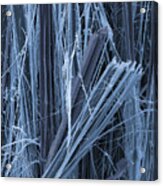 Asbestos, Sem #1 Acrylic Print