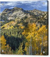 Autumn Colors In The Wasatch Mountains #1 Acrylic Print
