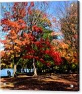 Autumn Leaves In Prospect Park #1 Acrylic Print