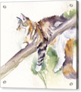 Bee High - Cat Up A Tree Acrylic Print