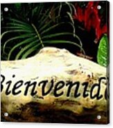 Bienvenidos #1 Acrylic Print