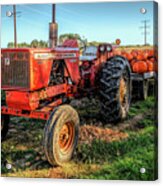 Big Orange Acrylic Print