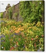 Border With Colorful Flowers Acrylic Print