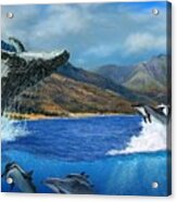 Breaching Humpback Whale At West Maui Acrylic Print