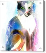Cat Of Many Colors #1 Acrylic Print