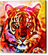 Colorful Tiger #2 Acrylic Print
