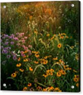 Colors Of Summer #1 Acrylic Print