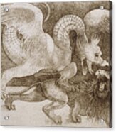 Fight Between A Dragon And A Lion By Leonardo Da Vinci Acrylic Print